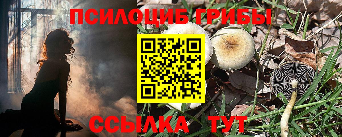 Псилоцибиновые грибы Magic Shrooms  Вход с VPN  Лыткарино  Псилоцибиновые грибы ЛСД 